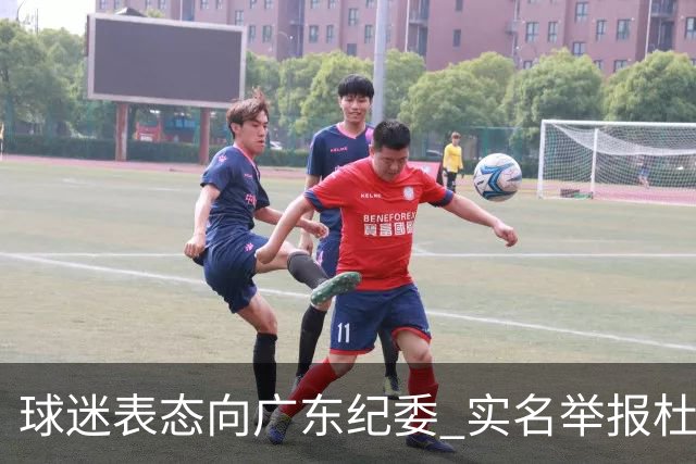 球迷表态向广东纪委 实名举报杜锋，给出三大理由 让人哭笑不得！